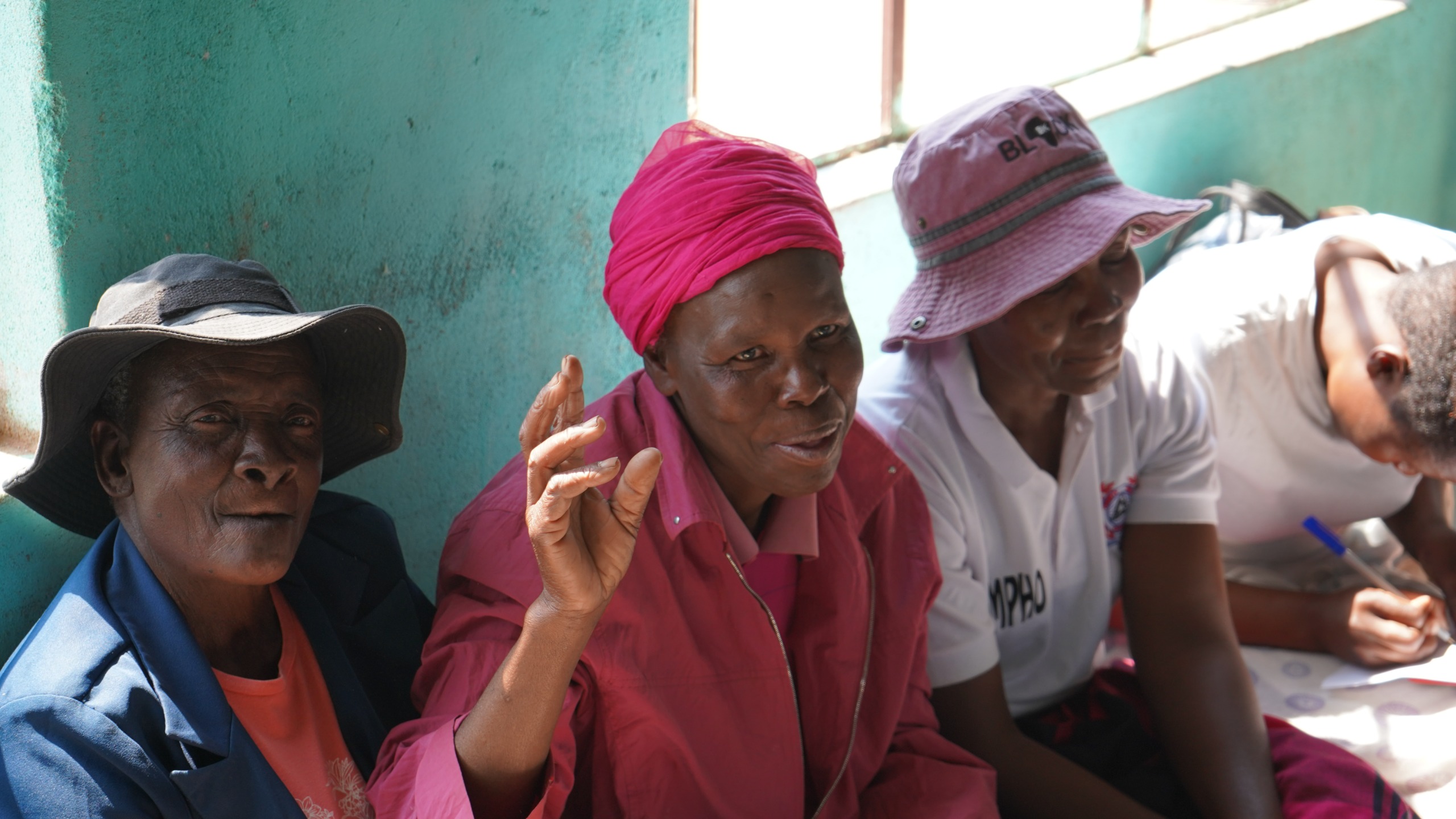WLSA Zimbabwe women empowerment