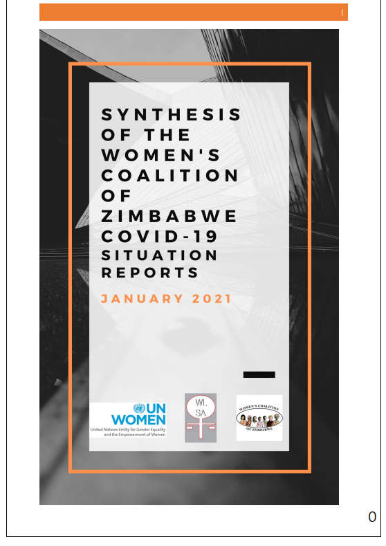 Women’s Coalition of Zimbabwe COVID-19 Situational Reports (January–February 2021): Data Analysis Report