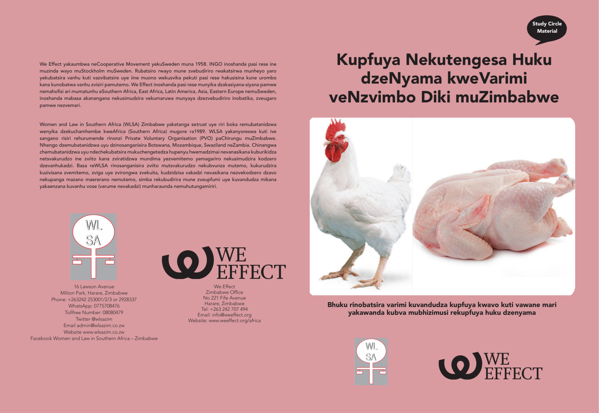 Kupfuya Nekutengesa Huku dzeNyama kweVarimi veNzvimbo Diki muZimbabwe (Rearing and Selling Broiler/Meat Chickens for Small-Scale Farmers in Zimbabwe)